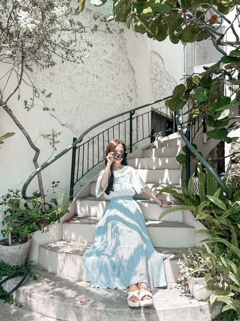 屏東｜超美森林系早午餐𓎩𓌉