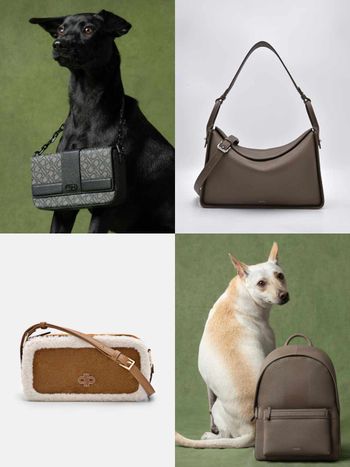 買包也能散播愛心！PEDRO再度邀浪浪拍廣告！毛寶貝揹Demi通勤包太可愛、今年第一咖就選它！