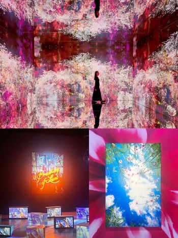 2026新年必逛「蜷川實花展」！「生命的呼吸」台北限定小彩蛋、絕美聲光藝術8大展區必拍亮點一次看！