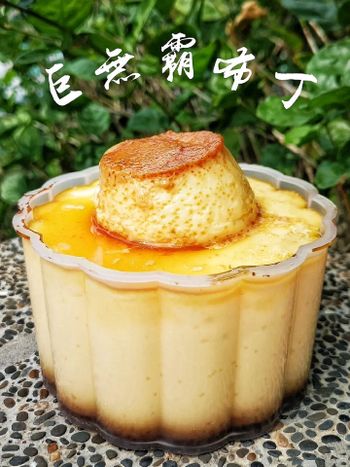 台南｜今天來當布丁富翁