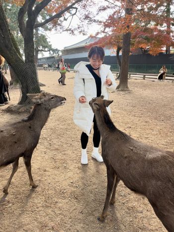 日本旅遊上網推薦｜去趣 eSIM 使用心得