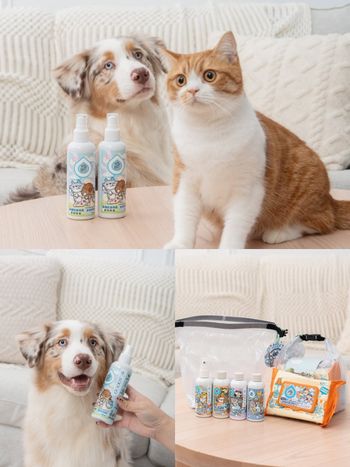 毛孩爸媽大掃除前必買！臭味滾貼心推「寵物用餐盤洗潔精、除臭噴霧」讓毛寶貝也能乾淨迎好運！