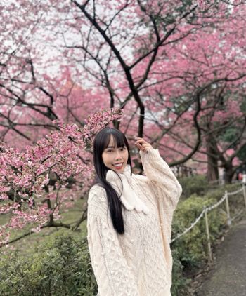 ♡ 台北賞櫻推薦 × 淡水天元宮櫻花🌸
