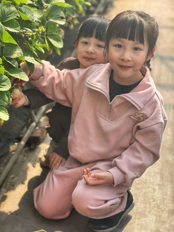 在草莓香裡，看你們慢慢長大。