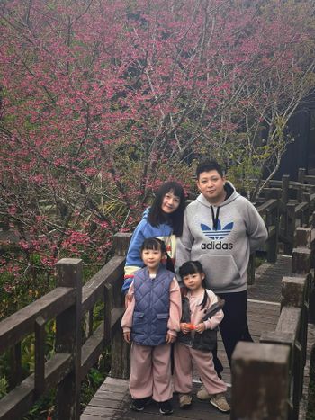 粉紅櫻花下的我們與新年