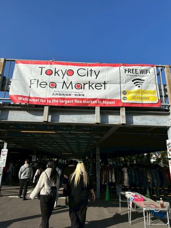 第二次來還是失手🤣大井競馬場跳蚤市場開箱分享