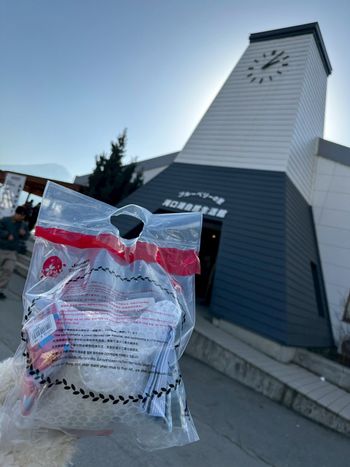 河口湖自然生活館必買清單，超好逛