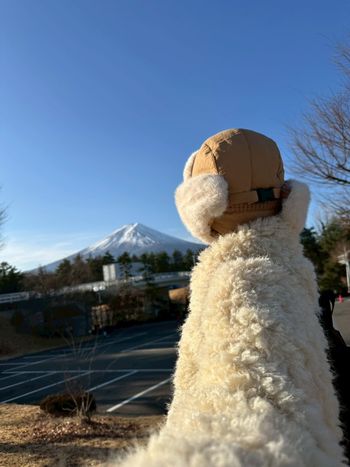 富士山Day2差點崩潰…F-Line公車真的會讓人厭世