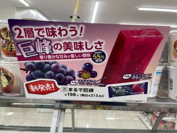 去日本一定要逛7-11挖寶