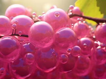 白藜蘆醇 vs. 白皮杉醇：哪個更能拯救你的肌膚？