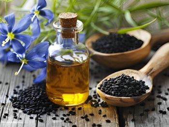 黑種草籽油與魚油：雙重協同，強化心血管與免疫健康