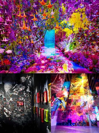 蜷川實花展要來台灣了！超夢幻「水晶蝴蝶、愛心」美翻必拍、票價&地點時間一次看！