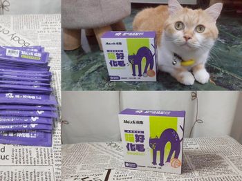 貓化毛粉推薦｜市售常見4大貓化毛粉評比 ！Maoch喵趣vs入木森vs毛孩時代vs汪喵星球