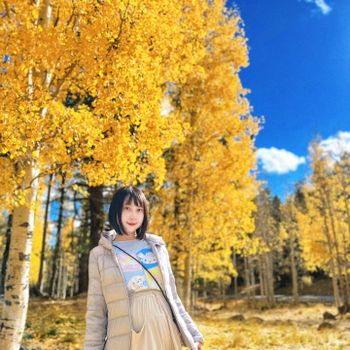 【美國-Arizona】追逐金色山林的季節│ Flagstaff、Arizona Snowbowl