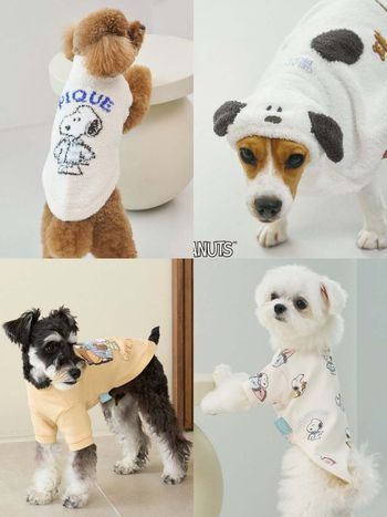 毛孩家長秒開錢包！gelato pique史努比聯名「寵物服飾」萌翻天！狗狗披風不買不行！