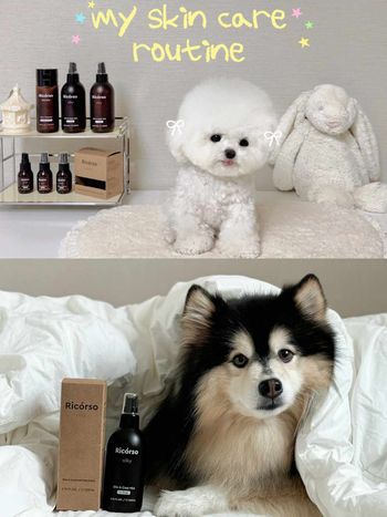 寵物界的Aesop！韓國頂級純素寵物保養Ricorso，給毛孩的第一款精品級呵護、貓狗日常直接升級一個檔次！