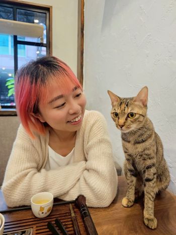 三隻店貓陪你喝茶！幸緻貓茶館的質感午後