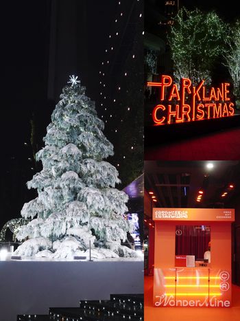 2025台中勤美草悟聖誕村來了！超夢幻「7公尺高飄雪聖誕樹、銀白森林光之道」必拍亮點一次看！