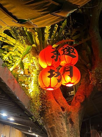 夜晚好去處｜台北｜ 邀月茶坊Yaoyue Teahouse24H