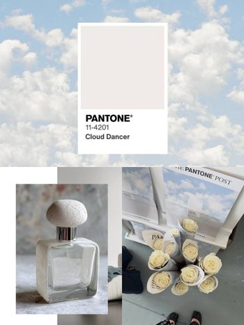 2026 Pantone年度代表色出爐！「Cloud Dancer雲白色」療癒登場！用最溫柔色調開啟新的一年！