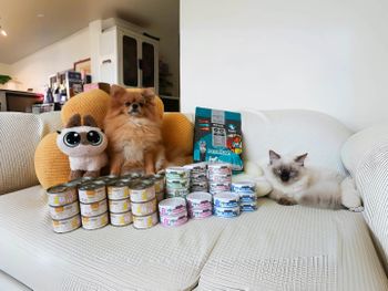 滿滿的罐罐～～