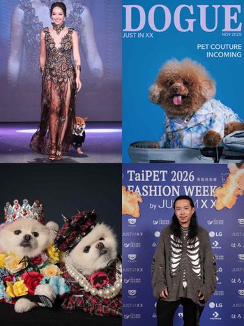 萌度炸裂！臺北萌寵時裝週登場！薔薔豹紋性感亮相、多隻浪浪變身T台小模...可愛爆棚！