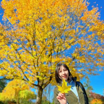 【美國-Arizona】追逐金色山林的季節│ Flagstaff、Arizona Snowbowl