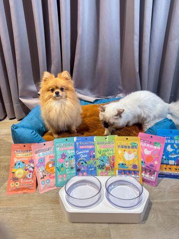 貓狗都可以吃的補水小零食