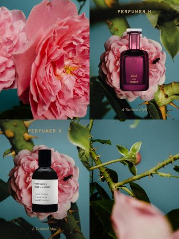 顛覆玫瑰調香氛的印象！PERFUMER H「玫瑰與昆蟲」嬌柔花香融入辛香木質調，充滿自信迷人魅力、噴它準沒錯！
