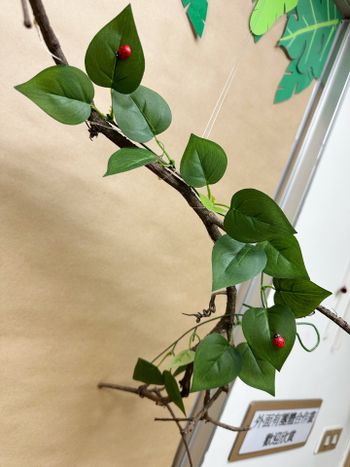 幼兒園老師小撇步牛皮紙必買.ᐟ.ᐟ