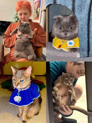 寵物界巨星！關於GD權志龍「愛貓ZOA＆IYE」的小秘密！名字合併還有可愛彩蛋？！