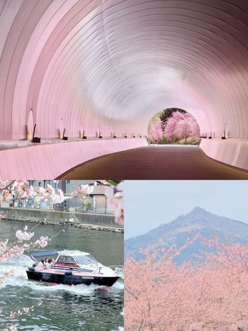 2026日本7大賞櫻景點推薦！東京目黑川搭船賞櫻花太浪漫、「這座」漸層粉櫻花隧道夢幻炸！