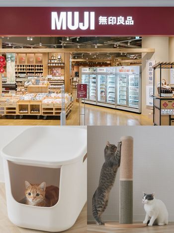 史上最時髦寵物用品！無印良品最新「純白貓砂盆&黃麻貓抓柱」美到像居家擺飾、毛孩爸媽必買！