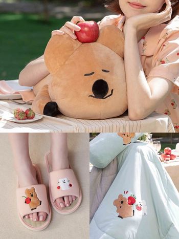 DINOTAENG矮袋鼠聯名家居小物太可愛！「QUOKKA趴姿抱枕、BOBO四季被」台灣就買得到！