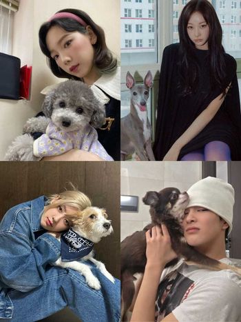 韓網熱議和寵物長得像的KPOP偶像！太妍&Zero根本神同步，Giselle愛犬畫報氣場強，乾鎬撞臉Cookie！