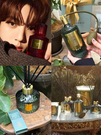 韓維辰愛用香氛品牌「TRUDON」無花果新香抵台，空氣、土壤、木質香全網瘋搜！