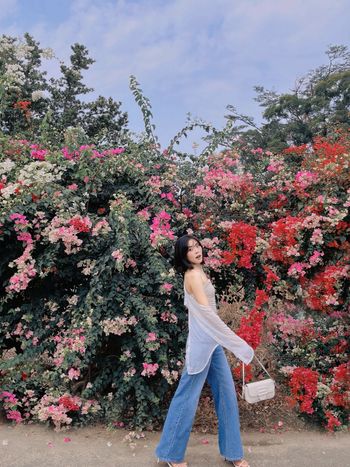 連假沒追到，這週去拍花牆📸