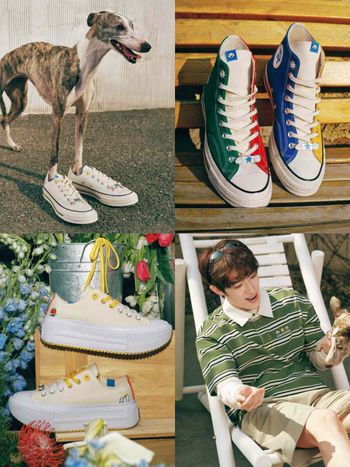 把毛小孩穿上身！CONVERSE最新聯名犯規可愛！「毛孩插畫鞋、T恤」萌到爆、一套直接穿出門！