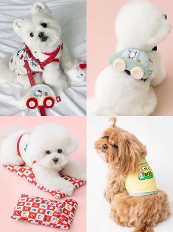 連韓牌都淪陷！三麗鷗聯名「寵物系列」可愛到失控！Kitty背心、帕洽狗車車小背包...還有冰枕收納包！