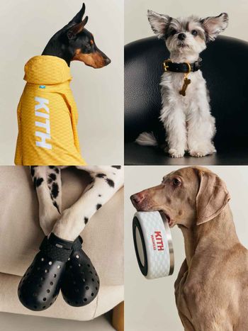 Lisa愛牌KITH也加入毛孩戰局！最新寵物系列「滿版風衣、胸背帶」被問爆！這波聯名直接刷新標準！