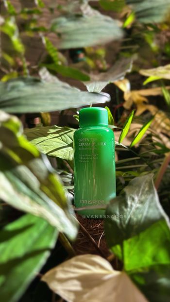 換季保養💚Innisfree幫你修護皮膚