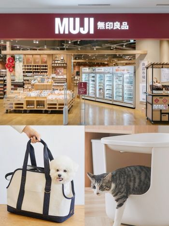 台灣無印良品也開賣寵物用品啦！毛孩爸媽必買「寵物背包、貓抓板、餐碗木架」8大好物一次看！