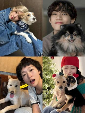 實踐「領養代替購買」韓星毛孩盤點！Rosé、子瑜、V領養浪浪故事逼哭全網，從被遺棄到變最幸福家人！