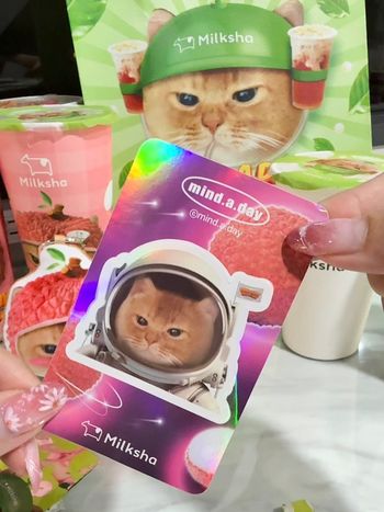 迷客夏聯名跩跩貓開箱！驚喜抽中「隱藏版太空貓」貼紙🐱 周邊、加料優惠攻略全筆記✨