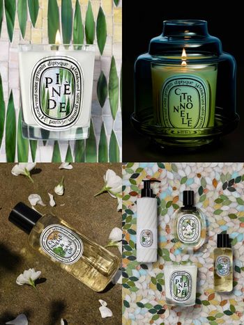 Diptyque最美南西店正式開幕！夏日限定「感官之水」化身水映花園限量上市，托特包、香氛體驗禮滿額送不停！
