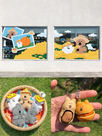濟州島限定DINOTAENG周邊太可愛！超萌「石頭爺爺QUOKKA、花生BOBO舒壓玩具」都要買！