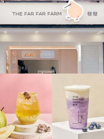 2026發發必喝推薦TOP6出爐！「梅子芭樂青萱」清爽又消暑、第一名藍莓控沒喝過會後悔！