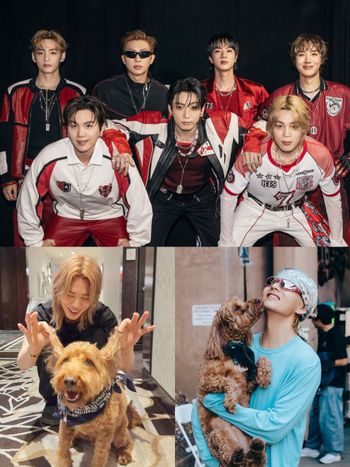 BTS竟然有專屬情緒支援犬！Jimin、V社群都狂曬的狗狗Stoney Blue，正是世巡演唱會「安撫高壓」的團寵！
