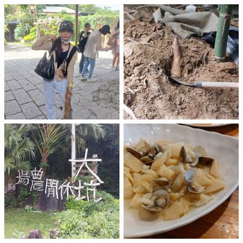 TAINAN TRIP台南隱藏版農場推薦！拔竹筍、吃竹筍菜，一趟充滿驚喜的大坑休閒農場之旅