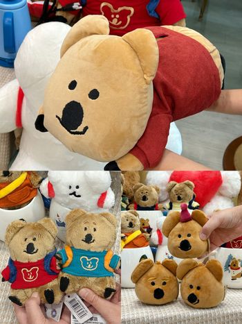 DINOTAENG矮袋鼠在7-11！超可愛「QUOKKA絨毛面紙套、BOBO馬克杯、飲料杯套」這天開賣！